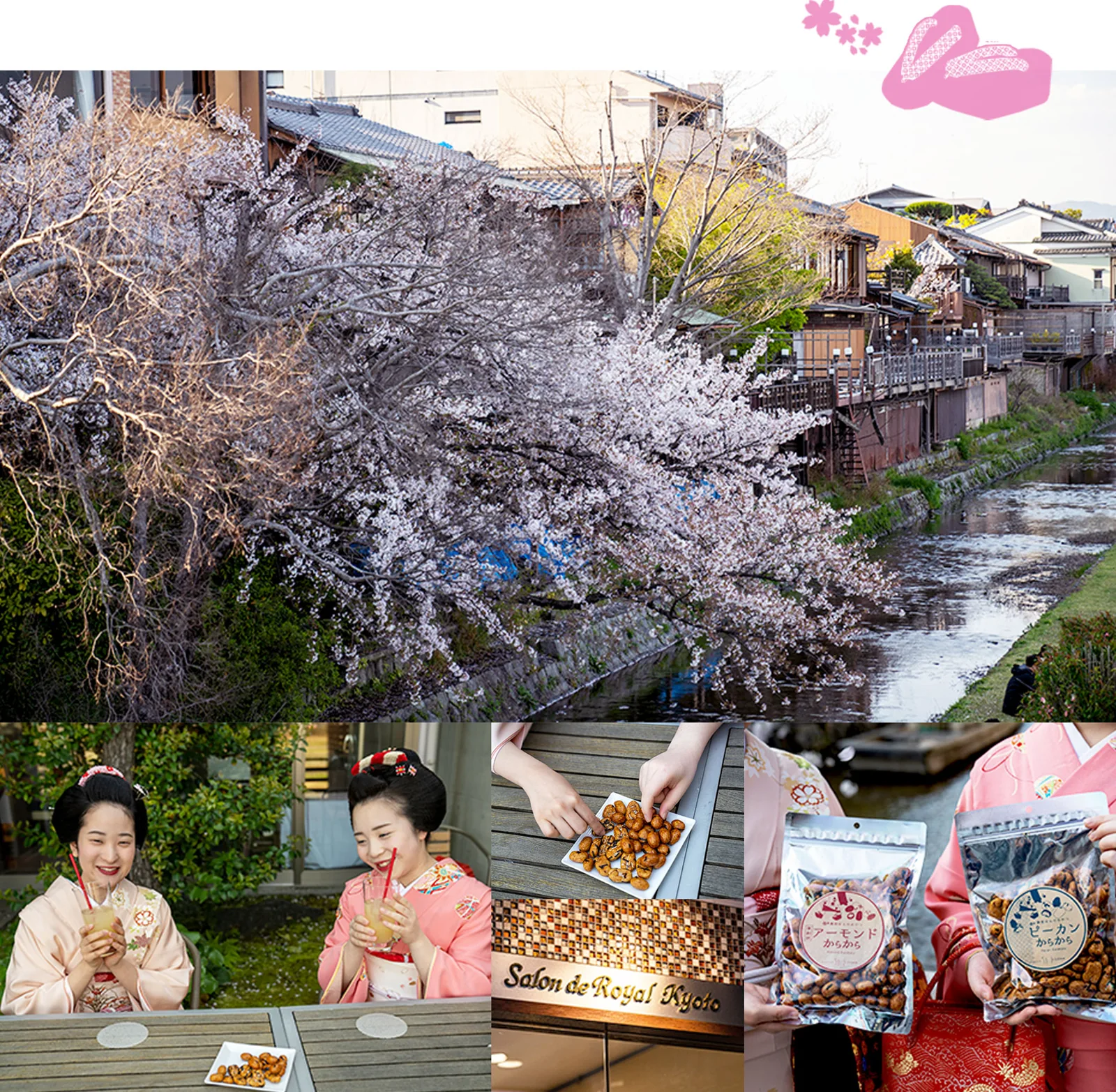 京都の舞妓さん